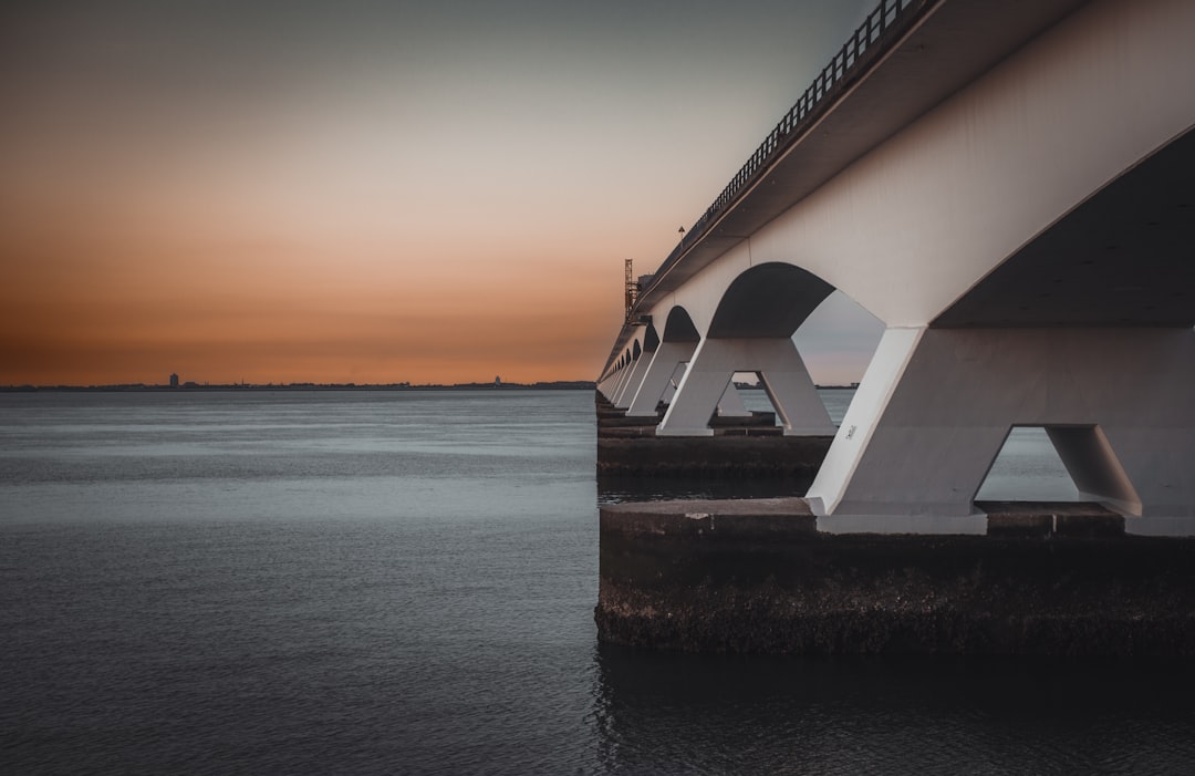 découvrez les règles du bridge adaptées aux débutants seniors pour apprendre ce jeu de cartes passionnant en toute simplicité.