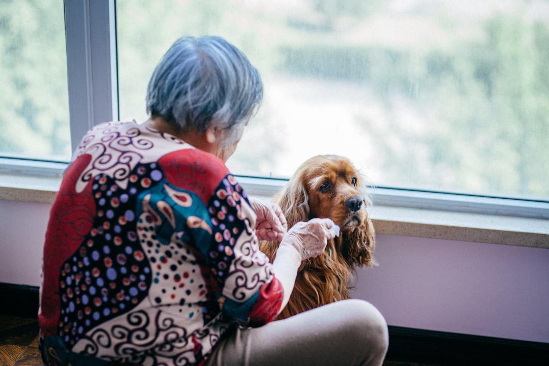 découvrez les bienfaits de la compagnie animale pour les seniors en résidence, favorisant bien-être, réconfort et socialisation au quotidien.
