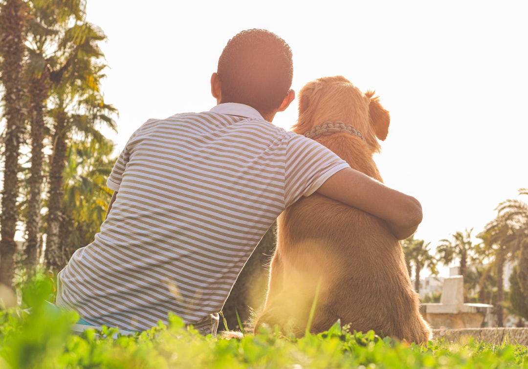 assurance pour animaux âgés : protégez la santé de votre compagnon senior avec des garanties adaptées et un accompagnement personnalisé.