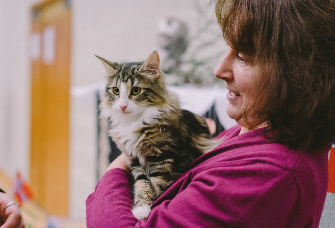 soins vétérinaires à domicile pour les animaux âgés : un service personnalisé et confortable pour assurer leur bien-être chez eux.