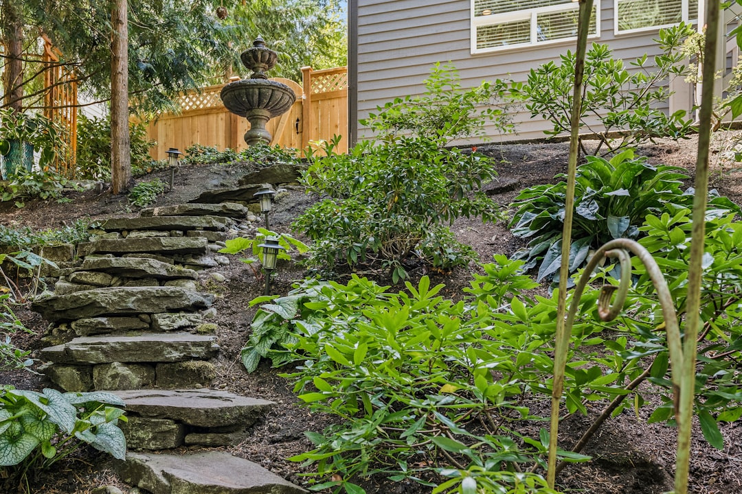 découvrez nos solutions ergonomiques pour jardins surélevés, conçues pour faciliter le jardinage tout en préservant votre confort et votre posture.