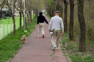 découvrez les bienfaits de la marche douce pour votre bien-être et votre santé. adoptez un rythme tranquille et profitez pleinement de chaque pas.