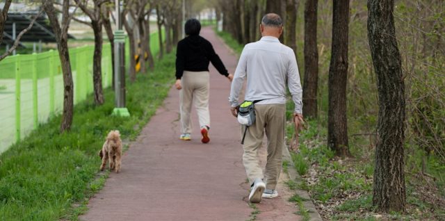 découvrez les bienfaits de la marche douce pour votre bien-être et votre santé. adoptez un rythme tranquille et profitez pleinement de chaque pas.